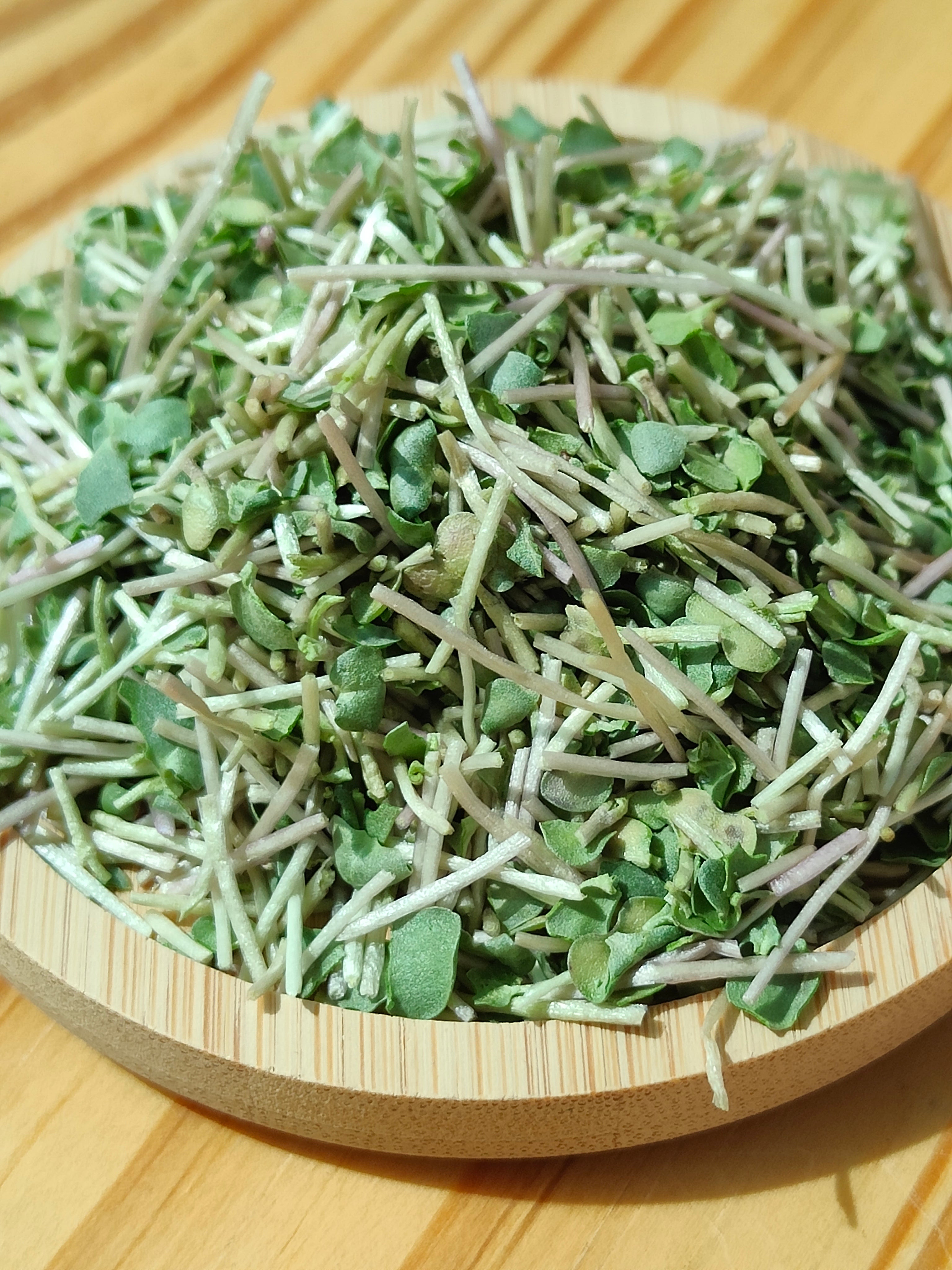 Micro pousses de Brocoli lyophilisées et bio